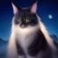 用户夜猫子K头像